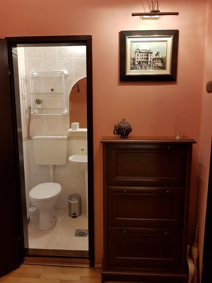 Classic Style Apartment Belgrad Dış mekan fotoğraf