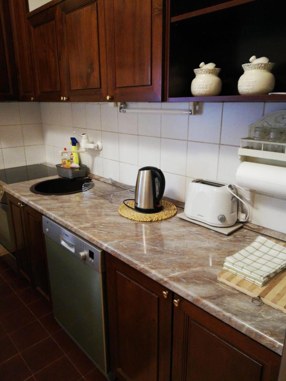 Classic Style Apartment Belgrad Dış mekan fotoğraf