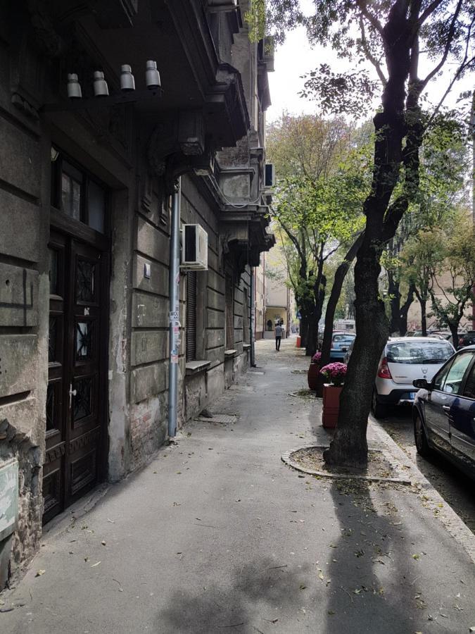 Classic Style Apartment Belgrad Dış mekan fotoğraf